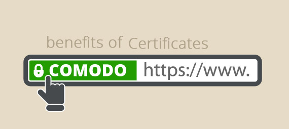 Certificado SSL
