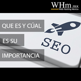 que es seo